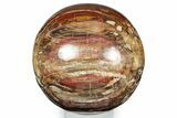 Massive, Colorful Petrified Wood (Araucaria) Sphere - Madagascar #339338-1